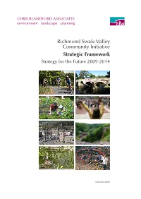 Richmond Swale Valley Community Initiative Strategic Framework Strategy for the Future 2009-2014