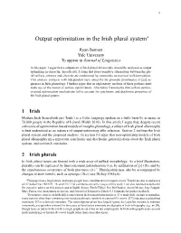 Output Optimization in the Irish Plural System*