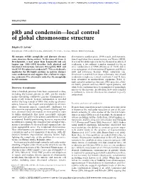 Prb and Condensin—Local Control of Global Chromosome Structure