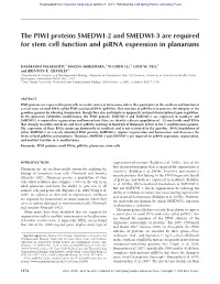The PIWI Proteins SMEDWI-2 and SMEDWI-3 Are Required for Stem Cell Function and Pirna Expression in Planarians