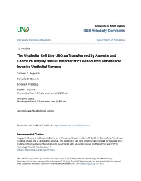 The Urothelial Cell Line Urotsa Transformed by Arsenite and Cadmium Display Basal Characteristics Associated with Muscle Invasive Urothelial Cancers