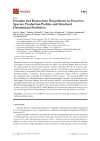 Enniatin and Beauvericin Biosynthesis in Fusarium Species: Production Proﬁles and Structural Determinant Prediction