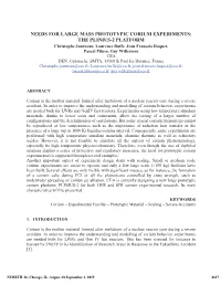 Needs for Large Mass Phototype Corium Experiments
