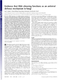 RNA Silencing Functions As an Antiviral Defense Mechanism in Fungi