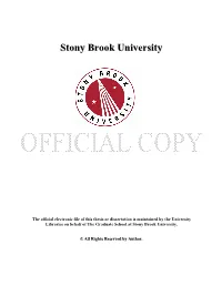 Stony Brook University