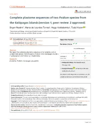 Complete Plastome Sequences of Two Psidium Species from the Galápagos Islands [Version 1; Peer Review: 2 Approved]