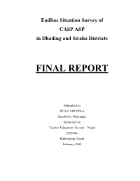Final Report