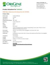 NAB2 Mouse Monoclonal Antibody [Clone ID: OTI1B10] Product Data