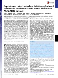 Regulation of Outer Kinetochore Ndc80 Complex-Based Microtubule