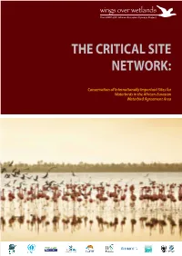 The Critical Site Network
