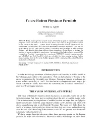 Future Hadron Physics at Fermilab