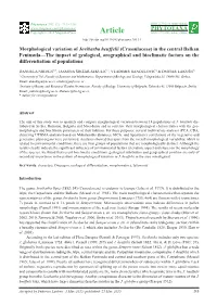 Morphological Variation of Jovibarba Heuffelii (Crassulaceae) in The