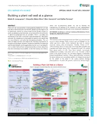 Building a Plant Cell Wall at a Glance Edwin R