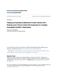 Folding and Assembly of Multimeric Proteins: Dimeric HIV-1 Protease and a Trimeric Coiled Coil Component of a Complex Hemoglobin Scaffold: a Dissertation