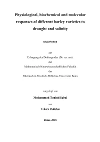 Physiological, Biochemical and Molecular Responses of Different Barley Varieties To
