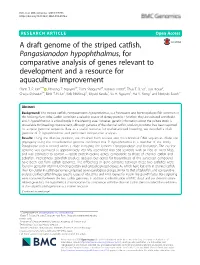 A Draft Genome of the Striped Catfish, Pangasianodon Hypophthalmus, for Comparative Analysis of Genes Relevant to Development An