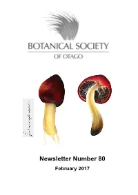 BSO Feb 2017 Newsletter Final