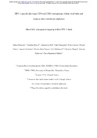 HIV-1 Specifically Traps CD9 and CD81 Tetraspanins Within Viral Buds And