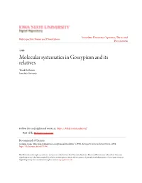 Molecular Systematics in Gossypium and Its Relatives Tosak Seelanan Iowa State University