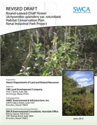REVISED DRAFT Round-Leaved Chaff Flower (Achyranthes Splendens Var