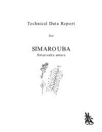 SIMAROUBA Simarouba Amara All Rights Reserved