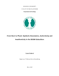 Symbolic Boundaries, Authenticity and Inauthenticity in the BDSM Subculture