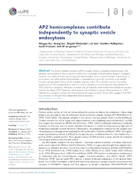 AP2 Hemicomplexes Contribute Independently to Synaptic Vesicle Endocytosis