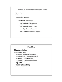 Chapter18 Reptilia.Pdf