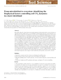 From Microhabitat to Ecosystem: Identifying the Biophysical Factors Controlling Soil CO2 Dynamics in a Karst Shrubland