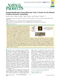 Fungal Identification Using Molecular Tools