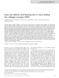 Inner Ear Defects and Hearing Loss in Mice Lacking the Collagen Receptor