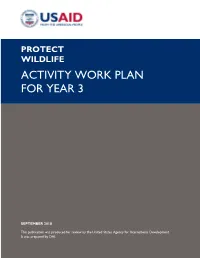 Activity Work Plan for Year 3