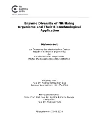 Enzyme Diversity of Nitrifying Organisms and Their Biotechnological Application
