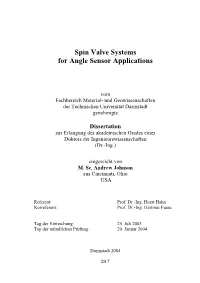 Spin Valve Systems for Angle Sensor Applications