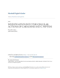 INVESTIGATION INTO the CELLULAR ACTIONS of CARNOSINE and C-PEPTIDE Emma H