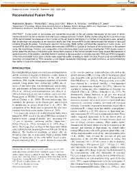 Reconstituted Fusion Pore