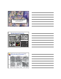 Reconstructing Mitochondrial Evolution?? Morphological Diversity Mitochondrial Diversity???