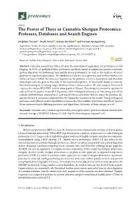 The Power of Three in Cannabis Shotgun Proteomics: Proteases, Databases and Search Engines