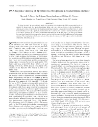 DNA Sequence Analysis of Spontaneous Mutagenesis in Saccharomyces Cerevisiae