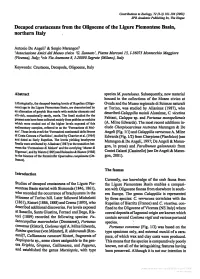 Downloaded from Brill.Com09/26/2021 12:42:37AM Via Free Access 102 A