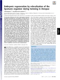 Embryonic Regeneration by Relocalization of the Spemann
