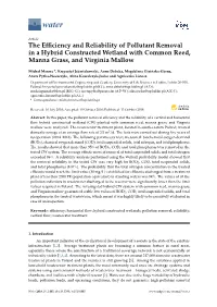 The Efficiency and Reliability of Pollutant Removal in a Hybrid