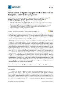 Optimization of Sperm Cryopreservation Protocol for Peregrine Falcon (Falco Peregrinus)