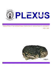 Plexus JULY 05-3