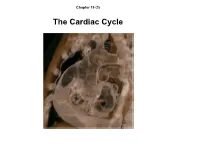 The Cardiac Cycle Learning Objectives