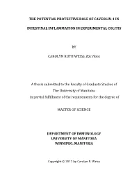 The Potential Protective Role of Caveolin-1 in Intestinal Inflammation in Experimental Colitis