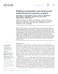 Building Customizable Auto-Luminescent Luciferase-Based Reporters in Plants