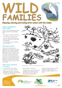 Enjoying, Learning and Looking After Nature with the Family
