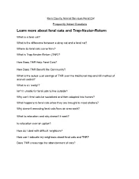 Feral Cat Frequently Asked Questions
