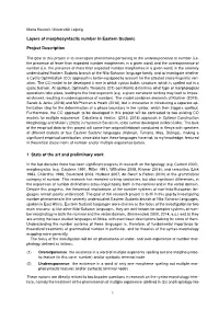 Layers of Morphosyntactic Number in Eastern Sudanic Project